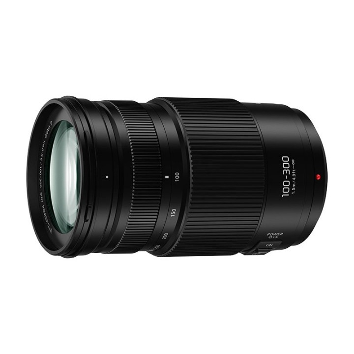 Panasonic Lumix 100-300 mm f/4,0-5,6
