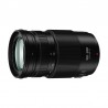 Panasonic Lumix 100-300mm f/4,0-5,6