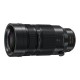 Panasonic G 100-400mm Leica