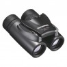 Olympus 10x21 RCII Dark silver