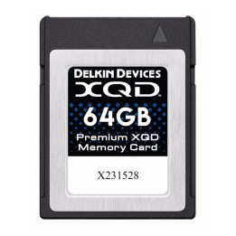 Delkin XQD 2933X - R440/W400 64 GB