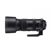 Sigma AF 60-600 f/4.5-6.3 DG OS HSM, Nikon