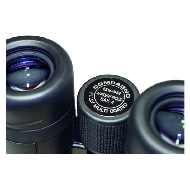 Braun Compagno 8x42 WP