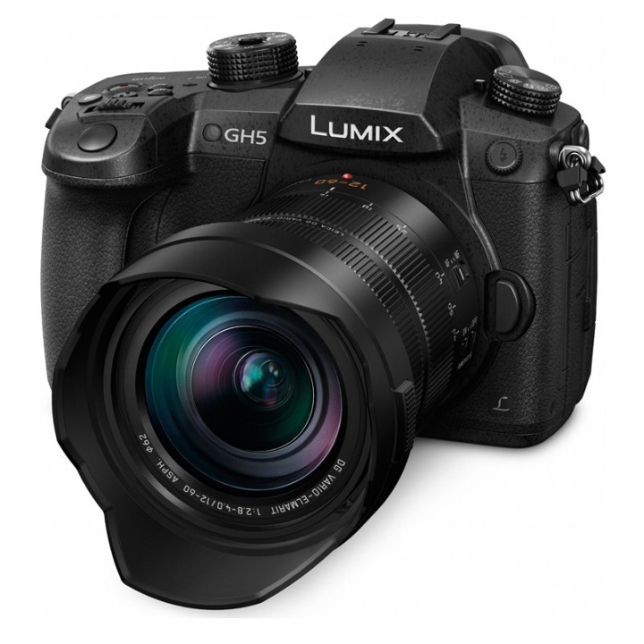Panasonic Lumix GH5 m/12-60mm f/2.8-40