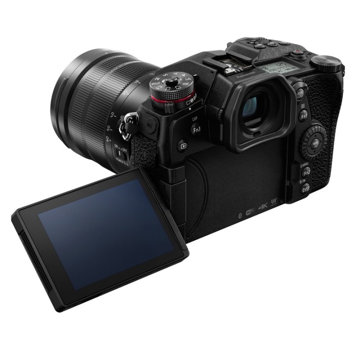 Panasonic Lumix G9, 12-60mm f/2.8-4.0