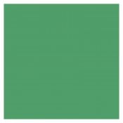 Colorama 164 Apple Green 2,72 x 11m