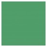 Colorama 164 Apple Green 2,72 x 11m