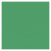 Colorama 564 Apple Green 1,35 x 11 m.