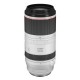 Canon RF 100-500mm f/4.5-7.1 L IS USM