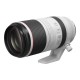 Canon RF 100-500mm f/4.5-7.1 L IS USM