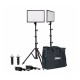 LEDGO E268C 2 Light Kit