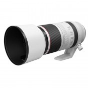 Canon RF 100-500mm f/4.5-7.1 L IS USM