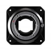 Z-Cam MFT mount E2 Series Objektivadapter