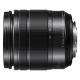Panasonic G 12-60mm f/3.5-5.6 MFT