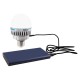 Nanlite PavoBulb 10C 1 light kit