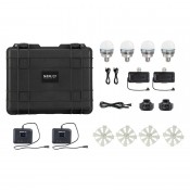 Nanlite PavoBulb 10C 4 light kit