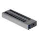 Delock External SuperSpeed USB Hub with 10 Ports + Switch