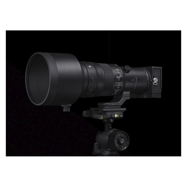 Sigma 500mm f/5.6 DG DN OS Sports Sony E/FE