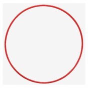 Olympus POL-053 O-Ring til PT-056 undervandshus