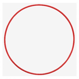 Olympus POL-053 O-Ring til PT-056 undervandshus