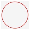 Olympus POL-053 O-Ring til PT-056 undervandshus