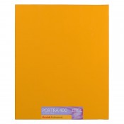 Kodak Portra 400 8x10 10SH