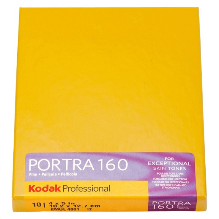Kodak Portra 160 4x5 10 Sheets
