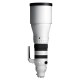 Sigma 300-600mm f/4 DC OS Sports Sony E-mount