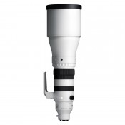 Sigma 300-600mm f/4 DC OS Sports Sony E-mount