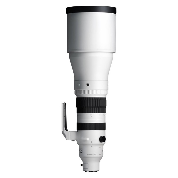 Sigma 300-600mm f/4 DC OS Sports Sony E-mount