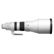 Sigma 300-600mm f/4 DC OS Sports L-mount