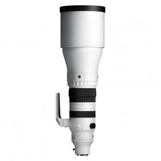 Sigma 300-600mm f/4 DC OS Sports L-mount