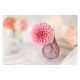 Canon RF 85mm f/1.4 L VCM