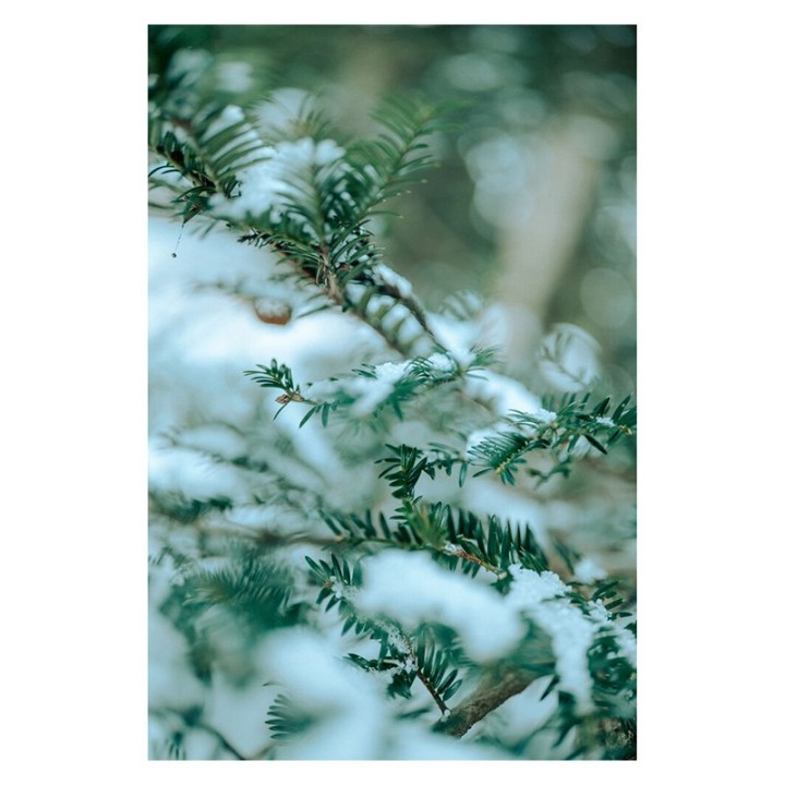 Sigma 35mm f/1.2 DG II ART  L-mount