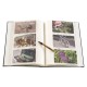 Focus Eterna Super 300 album10x15 Black