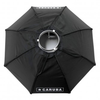 Caruba Beautydish 80cm Silver