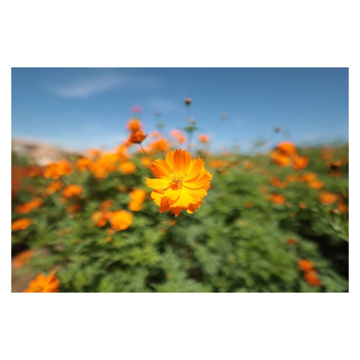 Canon RF 14mm f/1.4L VCM