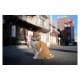 Sigma 35mm f1.4 DG II ART L-mount