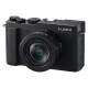 Panasonic Lumix L10 sort