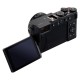 Panasonic Lumix L10 sort