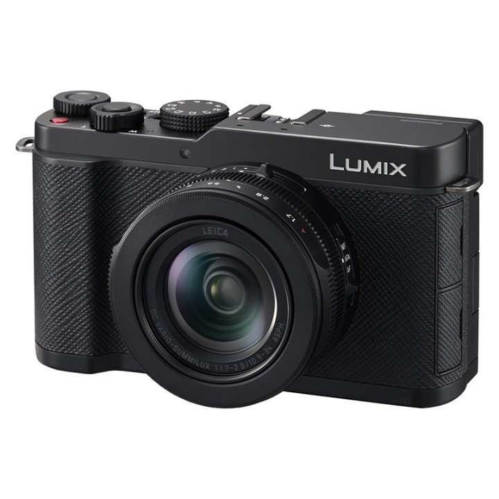 Panasonic Lumix L10 sort