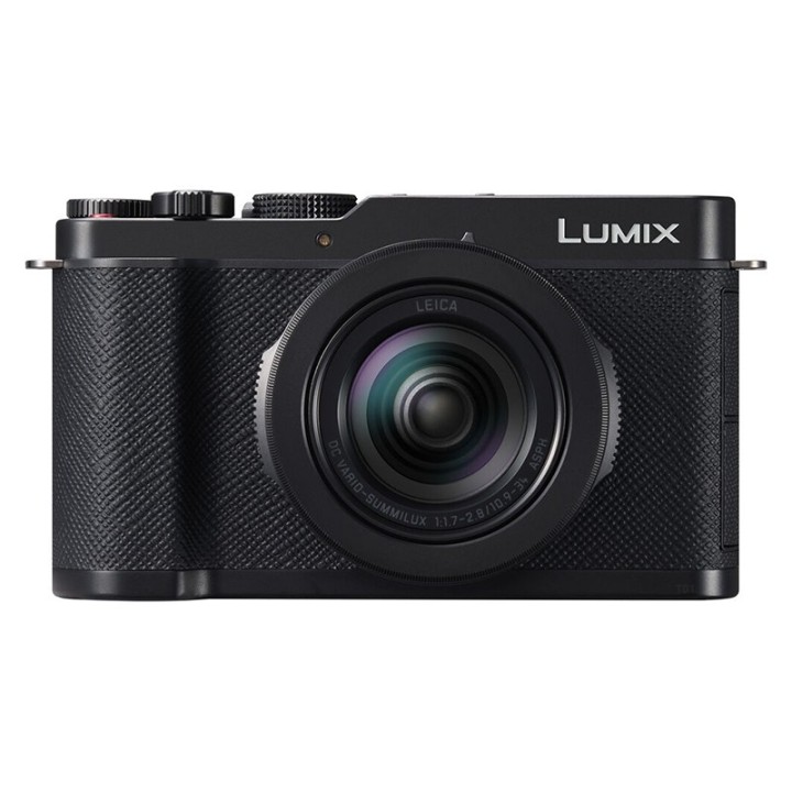 Panasonic Lumix L10 sort