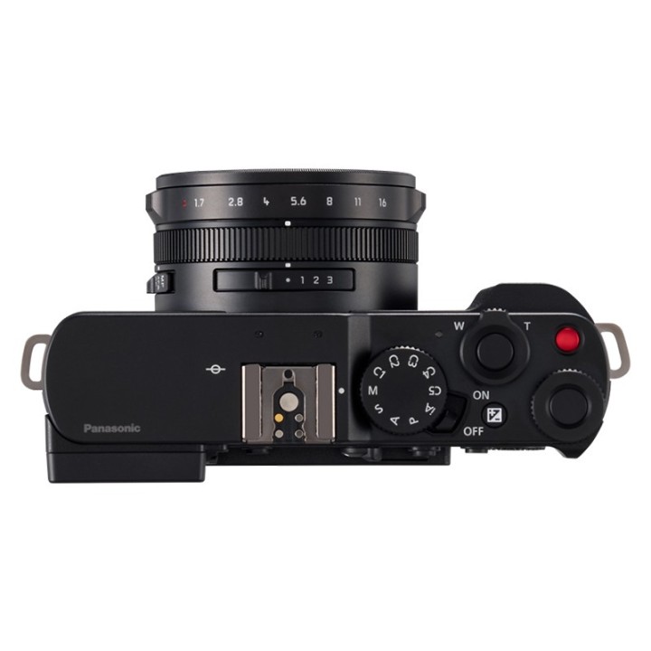 Panasonic Lumix L10 sort