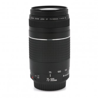 Canon EF 75-300mm f/4-5.6 III