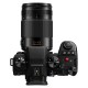 Panasonic Leica DG Vario-Elmarit 35-100mm f/2.8