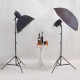 Reflecta Studio Kit Pro3 2X300Ws