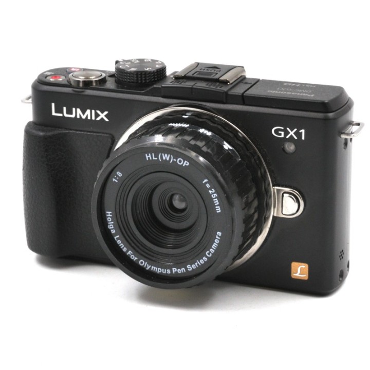 Panasonic Lumix GX-1 m. Holga 25mm f/8 toy lens.