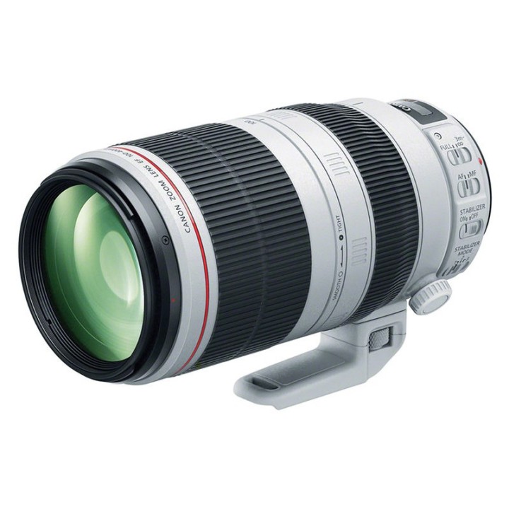Canon EF 100-400mm f/4,5-5,6 L IS II USM