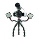 Joby Gorillapod Rig